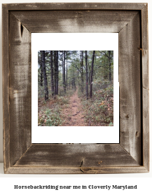 horseback riding near me in Cloverly, Maryland